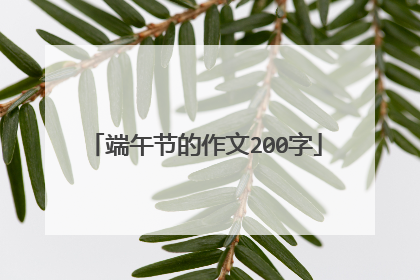 端午节的作文200字