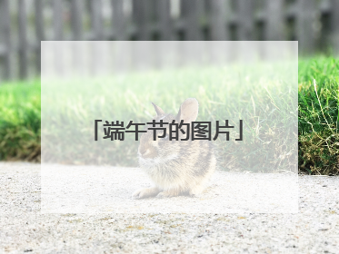 端午节的图片