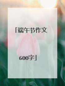 端午节作文600字