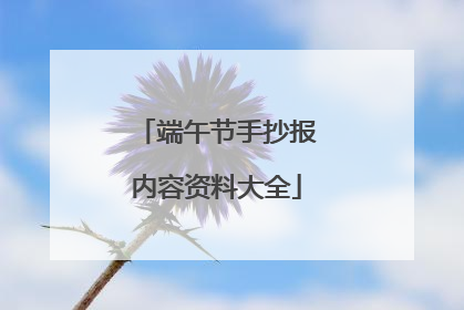 端午节手抄报内容资料大全