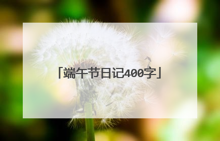 端午节日记400字