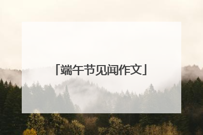 端午节见闻作文