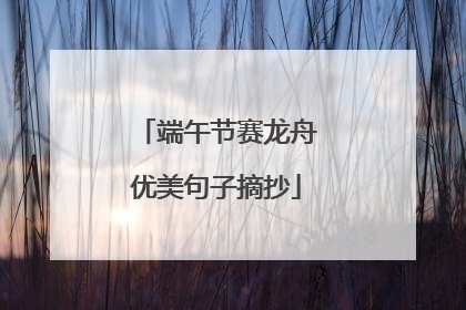 端午节赛龙舟优美句子摘抄