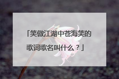 笑傲江湖中苍海笑的歌词歌名叫什么？