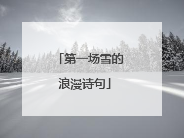 第一场雪的浪漫诗句