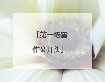 第一场雪作文开头