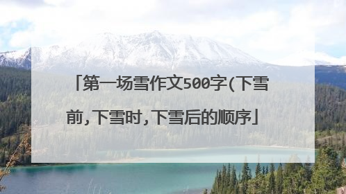 第一场雪作文500字(下雪前,下雪时,下雪后的顺序