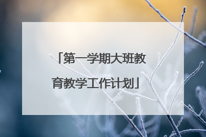 第一学期大班教育教学工作计划