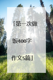 第一次做饭400字作文5篇