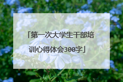 第一次大学生干部培训心得体会300字
