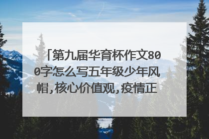 第九届华育杯作文800字怎么写五年级少年风帽,核心价值观,疫情正能量,家乡优美？