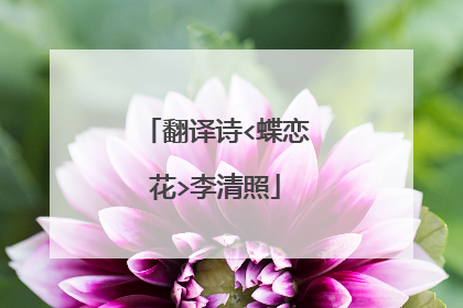 翻译诗<蝶恋花>李清照