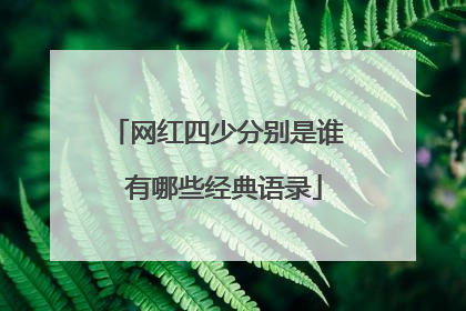 网红四少分别是谁 有哪些经典语录