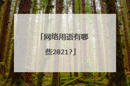 网络用语有哪些2021?