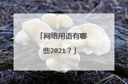 网络用语有哪些2021？