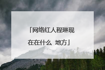 网络红人程琳现在在什么 地方