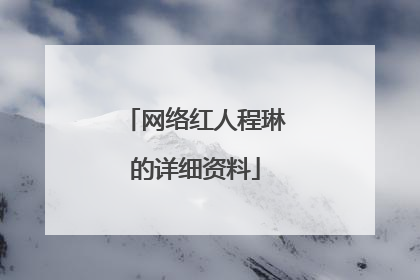 网络红人程琳的详细资料
