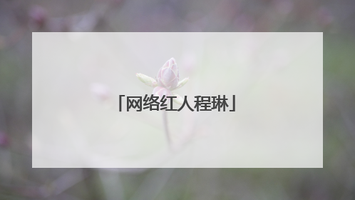 网络红人程琳