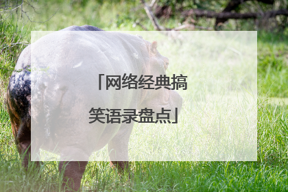 网络经典搞笑语录盘点