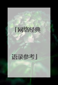 网络经典语录参考