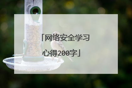 网络安全学习心得200字