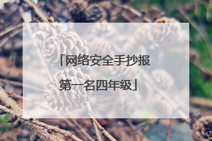 网络安全手抄报第一名四年级