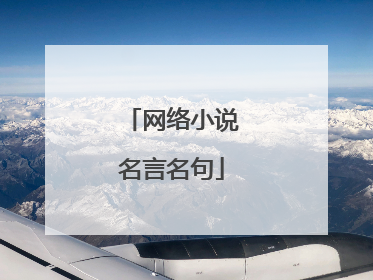 网络小说名言名句