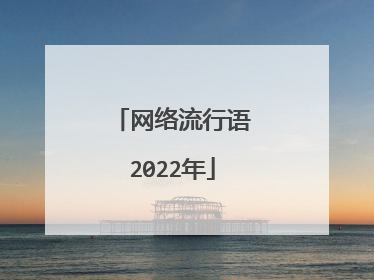 网络流行语2022年