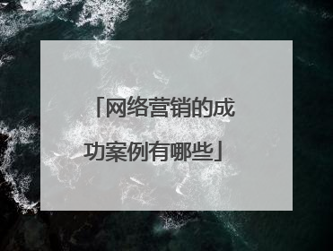 网络营销的成功案例有哪些