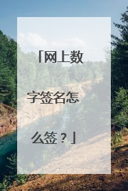 网上数字签名怎么签？