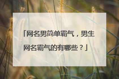 网名男简单霸气，男生网名霸气的有哪些？