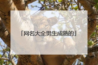 网名大全男生成熟的