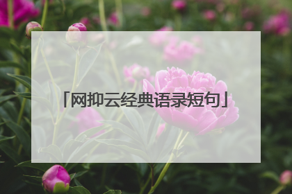 网抑云经典语录短句