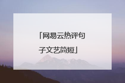 网易云热评句子文艺简短