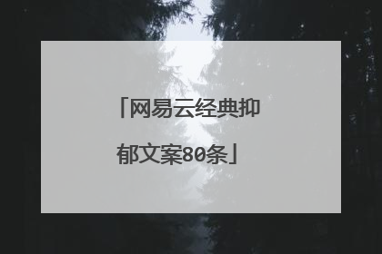 网易云经典抑郁文案80条