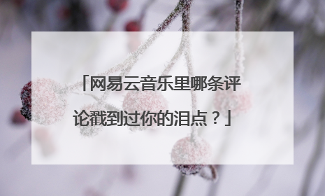 网易云音乐里哪条评论戳到过你的泪点？