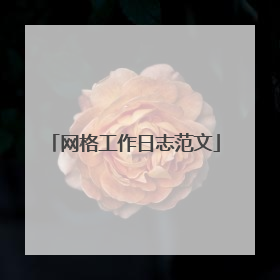 网格工作日志范文