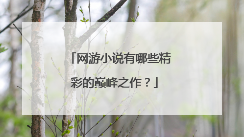 网游小说有哪些精彩的巅峰之作？
