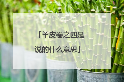 羊皮卷之四是说的什么意思