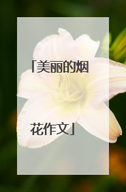 美丽的烟花作文