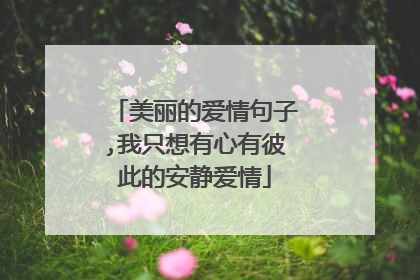 美丽的爱情句子,我只想有心有彼此的安静爱情