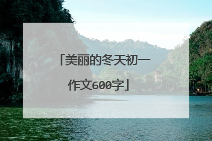 美丽的冬天初一作文600字