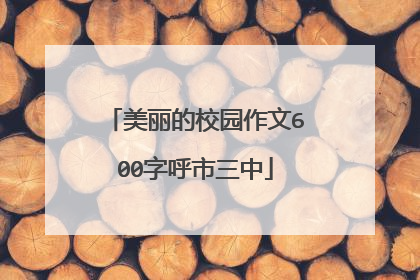 美丽的校园作文600字呼市三中