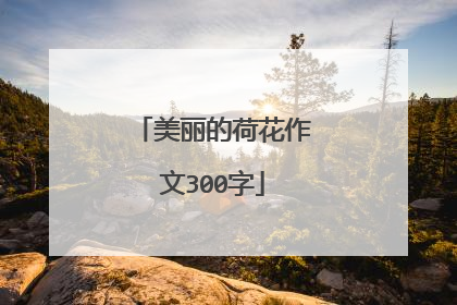 美丽的荷花作文300字