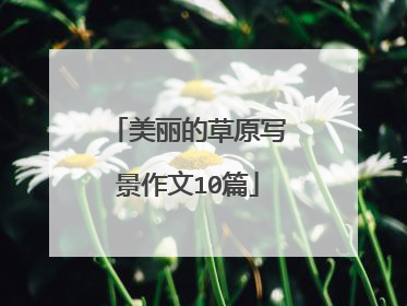 美丽的草原写景作文10篇