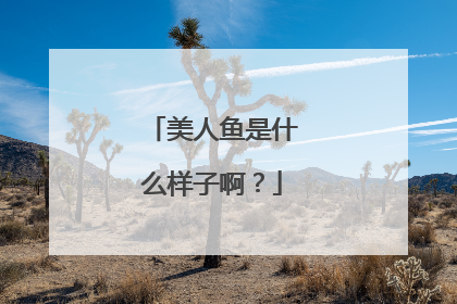 美人鱼是什么样子啊？