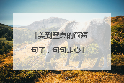 美到窒息的简短句子,句句走心