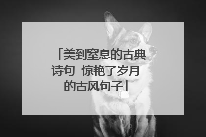 美到窒息的古典诗句 惊艳了岁月的古风句子