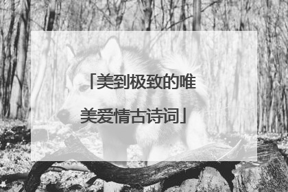 美到极致的唯美爱情古诗词
