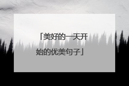 美好的一天开始的优美句子